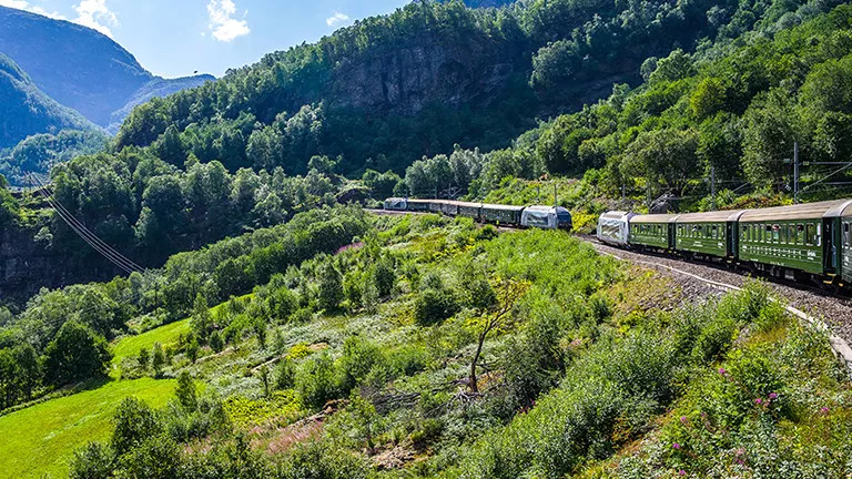 Train