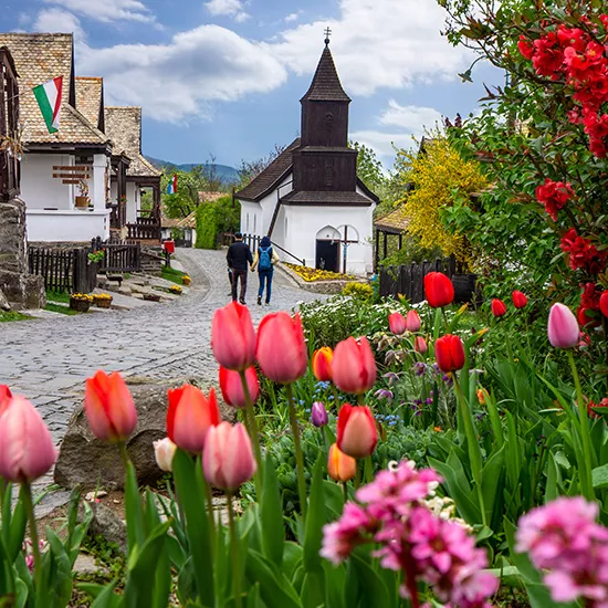 A view of a street in the small village of Holloko, with tulips decorating the side of the road.