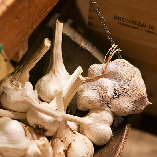 A view of bundles of garlic